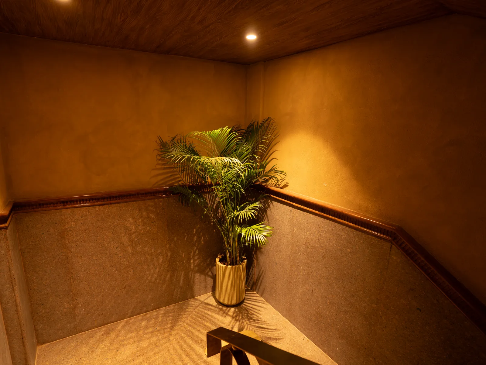 Stair landing with palm planter and wainscot — Chalukya Samrat